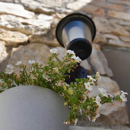 Loro House & Jacuzzi *